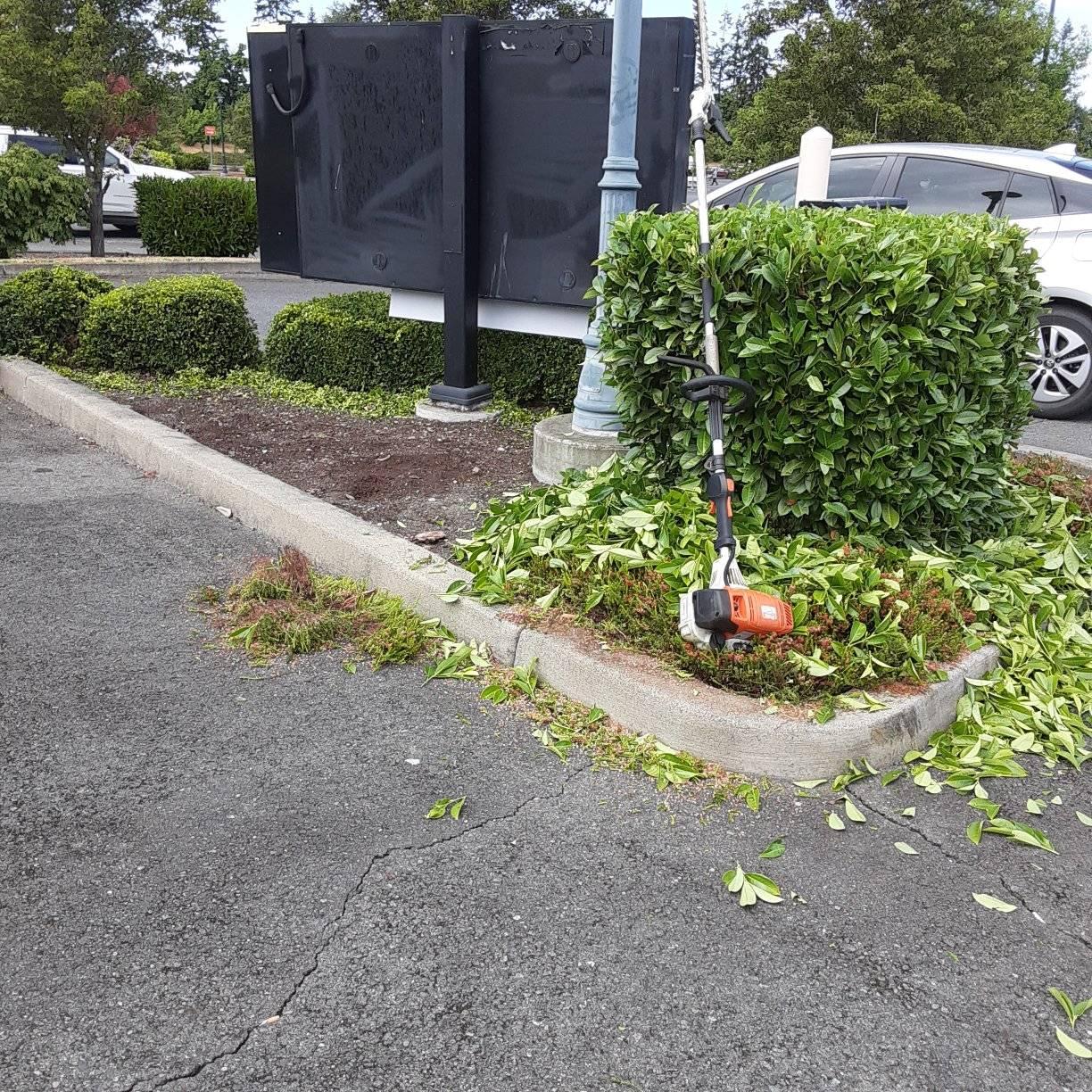 Leaf Blowing in Shelton WA