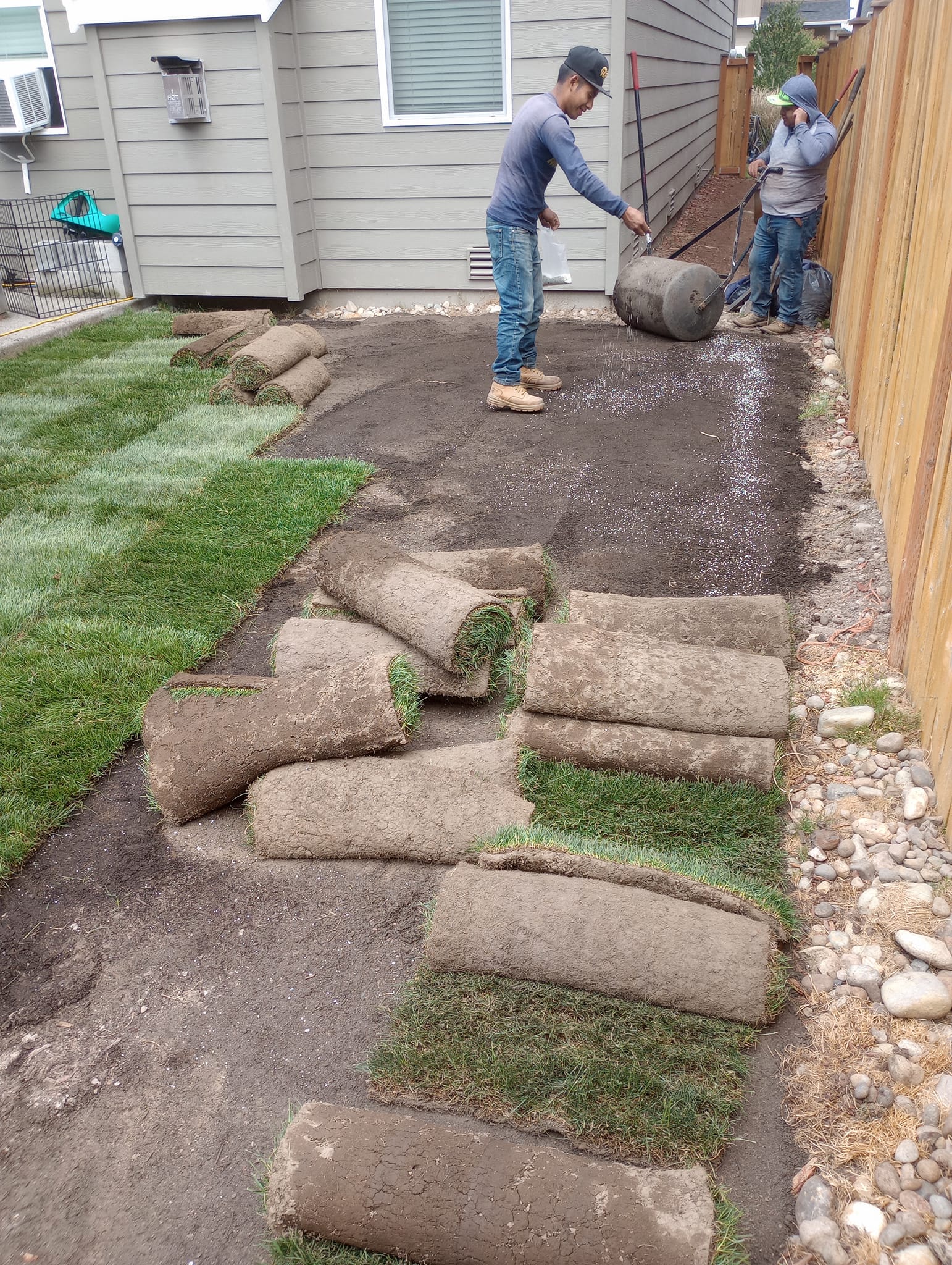 New Lawn Installation Sod or Seed