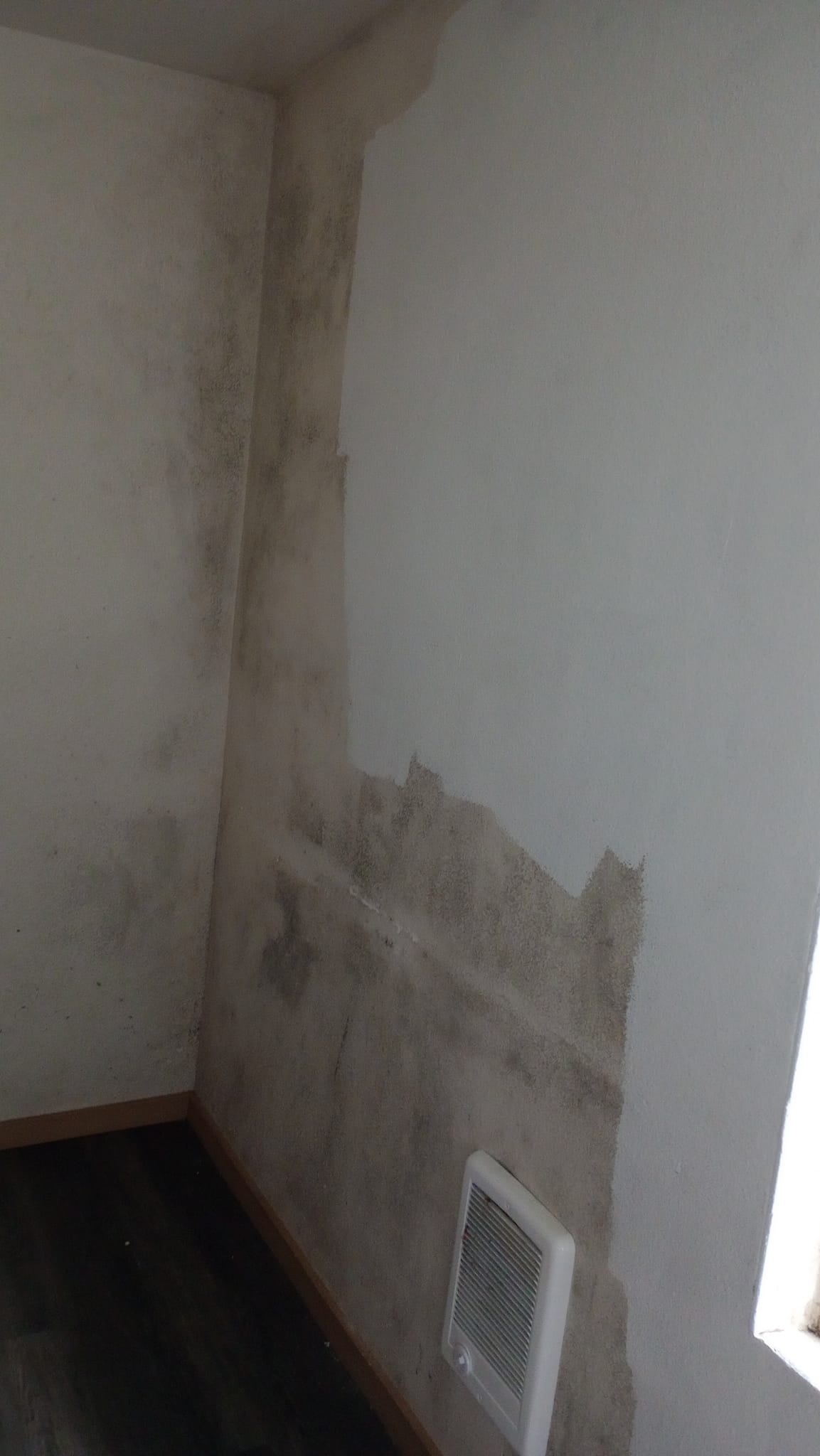 Interior and Exterior Painting project by Calmo Landscaping Services LLC